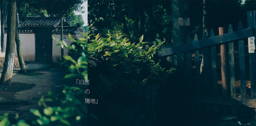 虫虫助手下载